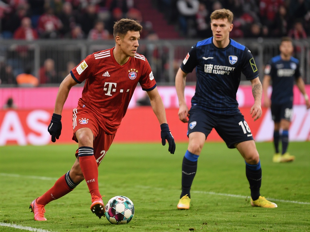 势必会收获 势必会收获